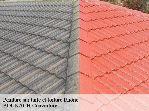 Peinture sur tuile et toiture 69 Rhône BOUNACH Couverture