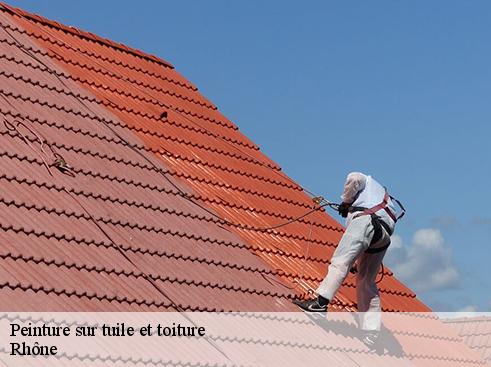 Peinture sur tuile et toiture 69 Rhône BOUNACH Couverture