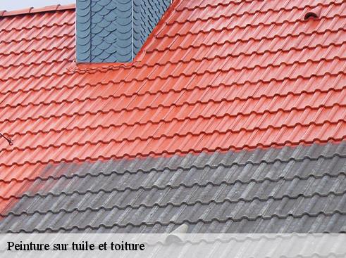 Peinture sur tuile et toiture 69 Rhône BOUNACH Couverture