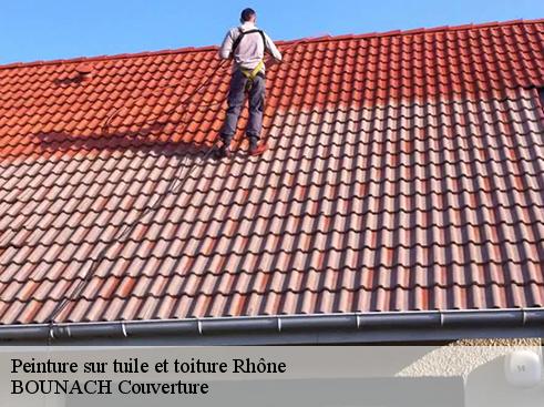 Peinture sur tuile et toiture 69 Rhône BOUNACH Couverture