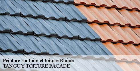 Peinture sur tuile et toiture TANGUY TOITURE FACADE