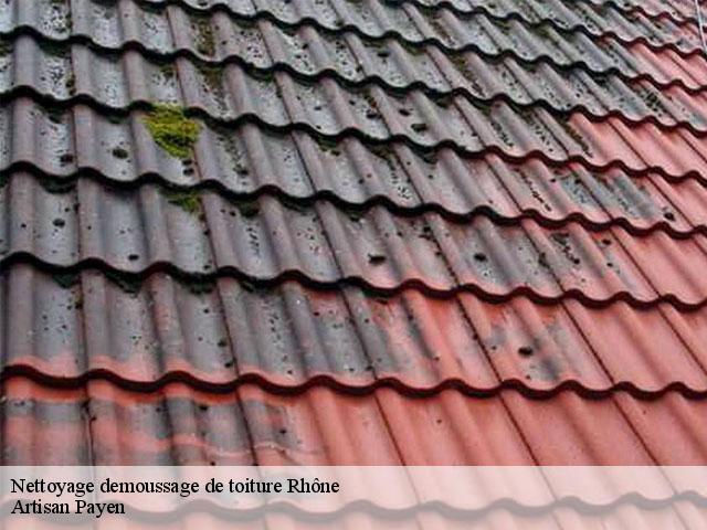 Nettoyage demoussage de toiture 69 Rhône  Artisan Payen