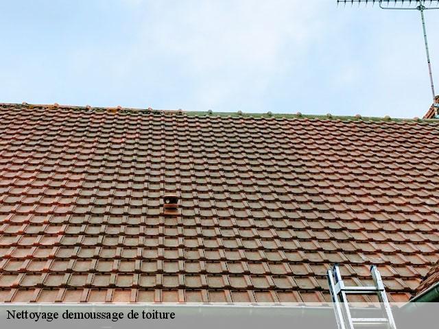Nettoyage demoussage de toiture 69 Rhône  Artisan Payen