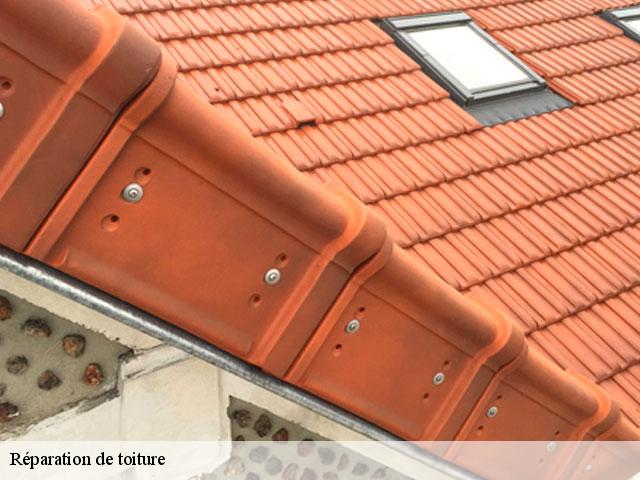 Réparation de toiture 69 Rhône  Artisan Payen