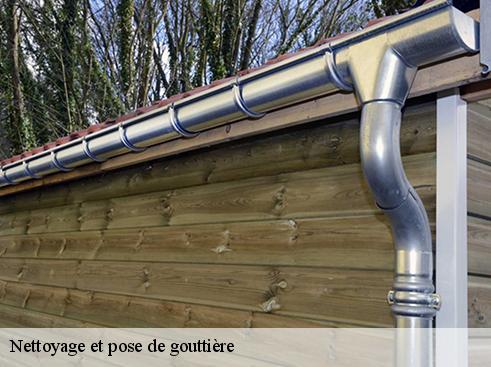 Nettoyage et pose de gouttière 69 Rhône BOUNACH Couverture