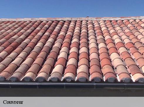 Couvreur saint-laurent-d-oingt-69620 BOUNACH Couverture