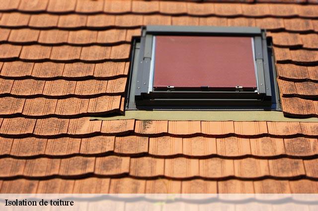 Isolation de toiture  fleurieu-sur-saone-69250 Artisan Payen