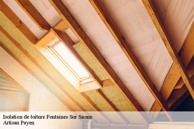 Isolation de toiture  fontaines-sur-saone-69270 Artisan Payen