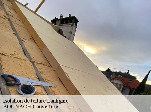 Isolation de toiture lantignie-69430 BOUNACH Couverture
