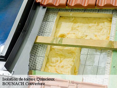 Isolation de toiture quincieux-69650 BOUNACH Couverture