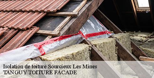 isolation-de-toiture-tanguy-toiture-facade-1