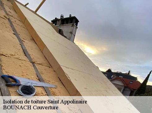 Isolation de toiture saint-appolinaire-69170 BOUNACH Couverture