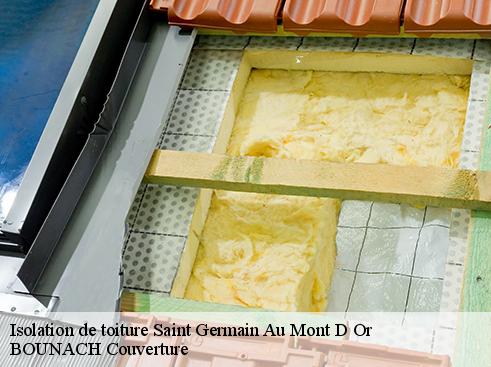 Isolation de toiture saint-germain-au-mont-d-or-69650 BOUNACH Couverture