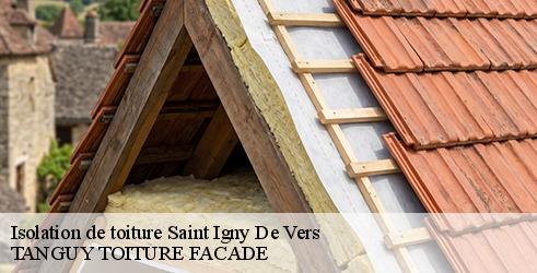 isolation-de-toiture-tanguy-toiture-facade-7