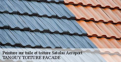peinture-sur-tuile-et-toiture-tanguy-toiture-facade-10
