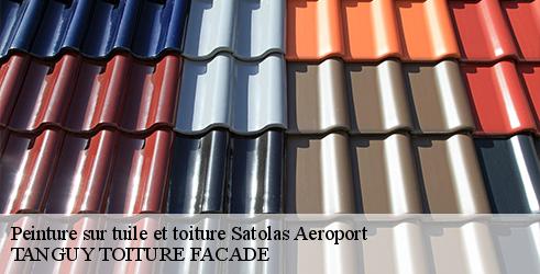 peinture-sur-tuile-et-toiture-tanguy-toiture-facade-7