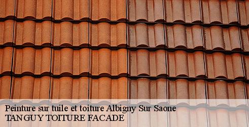 peinture-sur-tuile-et-toiture-tanguy-toiture-facade-4