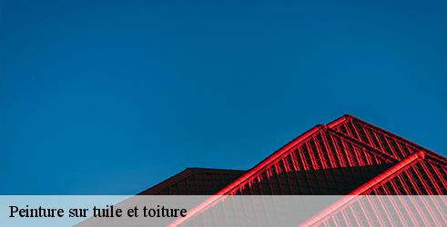 peinture-sur-tuile-et-toiture-tanguy-toiture-facade-3