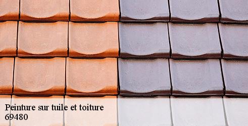 peinture-sur-tuile-et-toiture-tanguy-toiture-facade-5