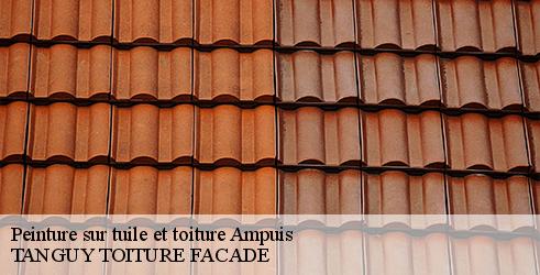 peinture-sur-tuile-et-toiture-tanguy-toiture-facade-4