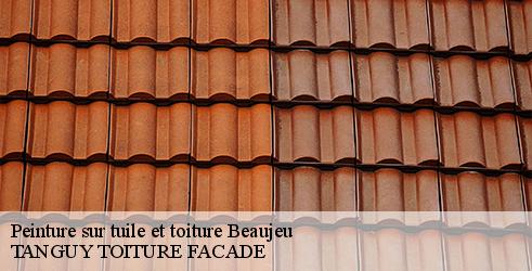 peinture-sur-tuile-et-toiture-tanguy-toiture-facade-4