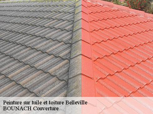 Peinture sur tuile et toiture belleville-69220 BOUNACH Couverture