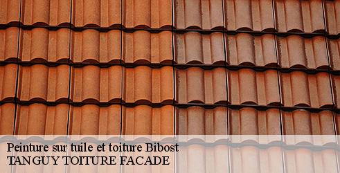 peinture-sur-tuile-et-toiture-tanguy-toiture-facade-4