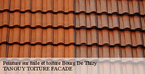 peinture-sur-tuile-et-toiture-tanguy-toiture-facade-4