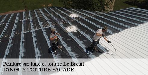 peinture-sur-tuile-et-toiture-tanguy-toiture-facade-1