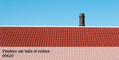 peinture-sur-tuile-et-toiture-tanguy-toiture-facade-2