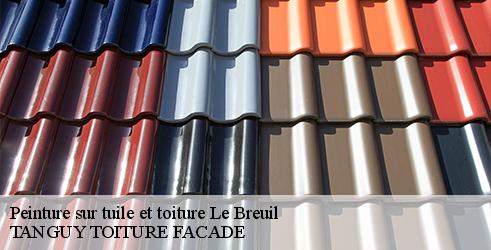 peinture-sur-tuile-et-toiture-tanguy-toiture-facade-7