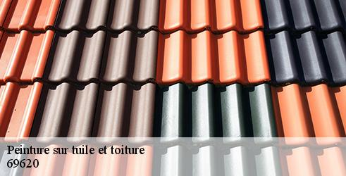 peinture-sur-tuile-et-toiture-tanguy-toiture-facade-8