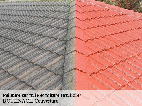 Peinture sur tuile et toiture  brullioles-69690 Artisan Payen