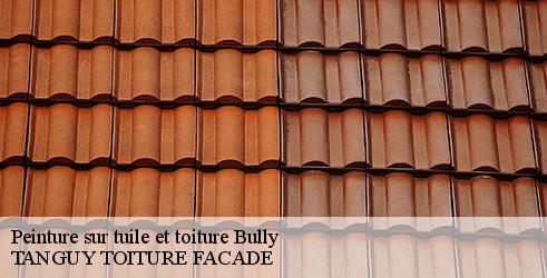 peinture-sur-tuile-et-toiture-tanguy-toiture-facade-4