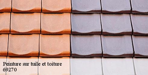 peinture-sur-tuile-et-toiture-tanguy-toiture-facade-5