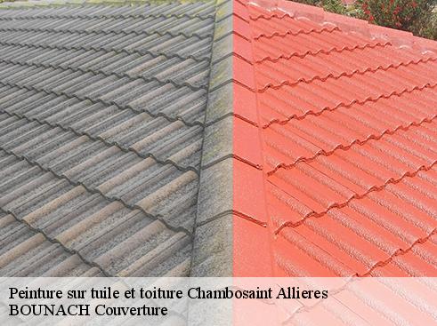 Peinture sur tuile et toiture chambosaint-allieres-69870 BOUNACH Couverture