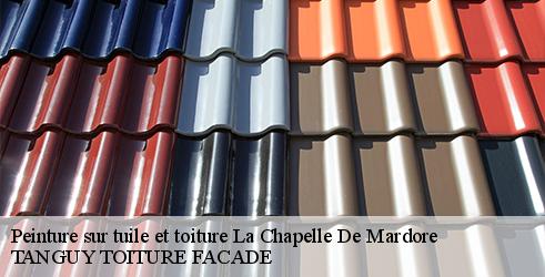 peinture-sur-tuile-et-toiture-tanguy-toiture-facade-7