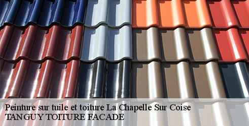 peinture-sur-tuile-et-toiture-tanguy-toiture-facade-7