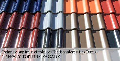 peinture-sur-tuile-et-toiture-tanguy-toiture-facade-7