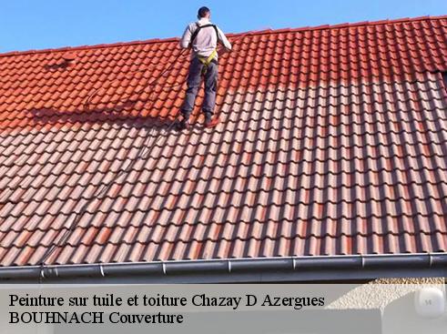 Peinture sur tuile et toiture  chazay-d-azergues-69380 Artisan Payen