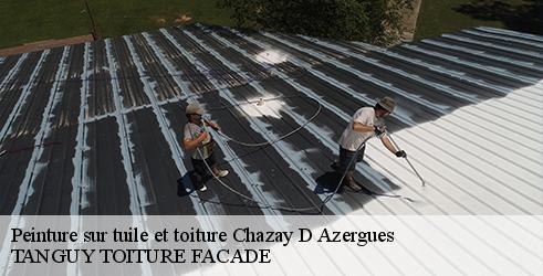 peinture-sur-tuile-et-toiture-tanguy-toiture-facade-1