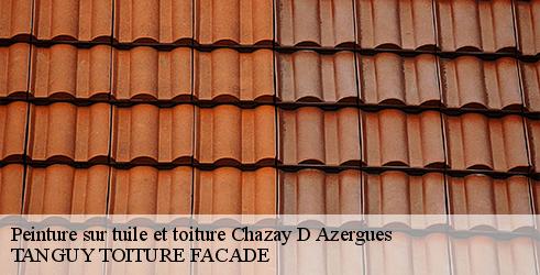 peinture-sur-tuile-et-toiture-tanguy-toiture-facade-4