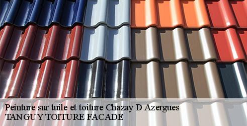 peinture-sur-tuile-et-toiture-tanguy-toiture-facade-7