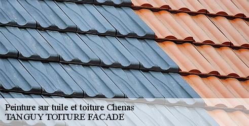 peinture-sur-tuile-et-toiture-tanguy-toiture-facade-10