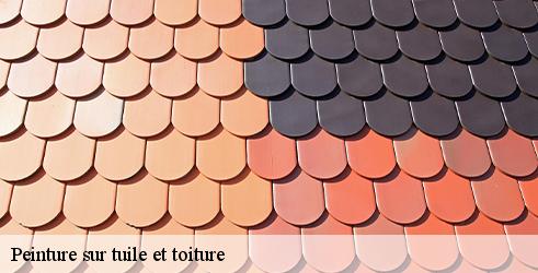 peinture-sur-tuile-et-toiture-tanguy-toiture-facade-9