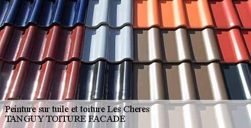 peinture-sur-tuile-et-toiture-tanguy-toiture-facade-7