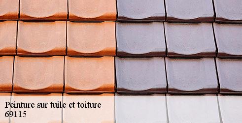 peinture-sur-tuile-et-toiture-tanguy-toiture-facade-5
