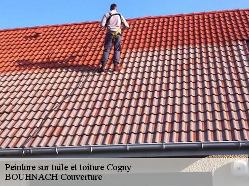 Peinture sur tuile et toiture cogny-69640 BOUHNACH Couverture