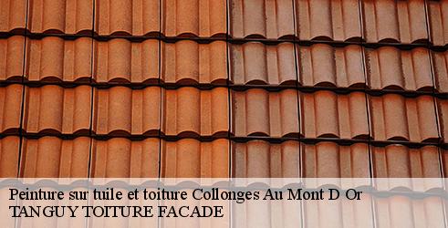 peinture-sur-tuile-et-toiture-tanguy-toiture-facade-4