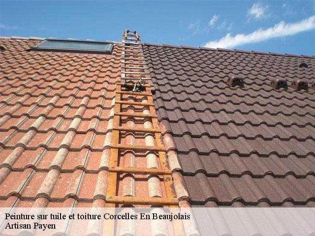Peinture sur tuile et toiture  corcelles-en-beaujolais-69220 Artisan Payen